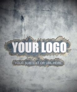 Video Logo #2 – Shooting Logo