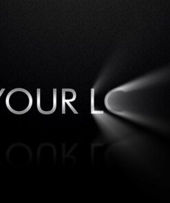 Video Logo #41 – Shine Reveal